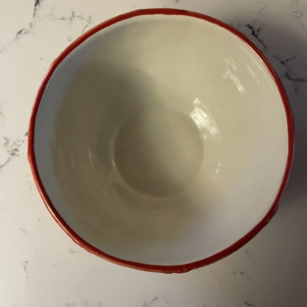 Bloom Rite Soup / Cereal Bowl Retro Vintage Groovy Flower Power Big Red Daisy‎